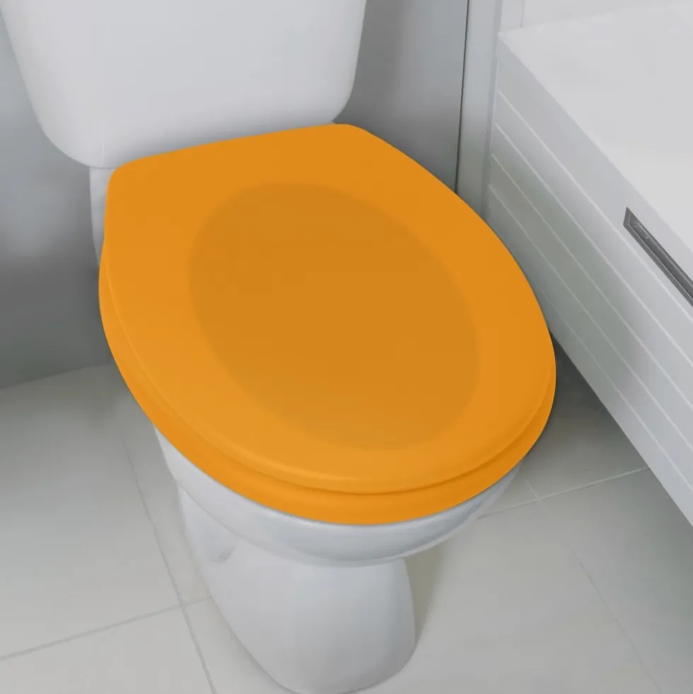 Abattant WC - Themodur - avec Frein de chute - NEELA - Safran mat SPIRELLA
