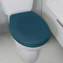 Abattant WC - Thermodur - avec Frein de chute - NEELA - Pétrole mat SPIRELLA