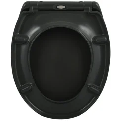 Abattant WC - Thermodur - avec Frein de chute - Easy Clip - Gris SPIRELLA