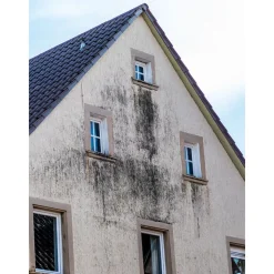 Additif détergent - pour fongicides et algicides - D'BOOST DALEP