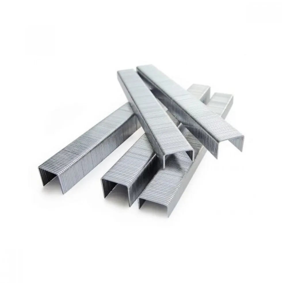 Agrafes galvanisées type 80 - longueur 8 mm - par 10000 ARCA-SCAB