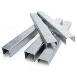 Agrafes galvanisées type 80 - longueur 10 mm - par 10000 ARCA-SCAB