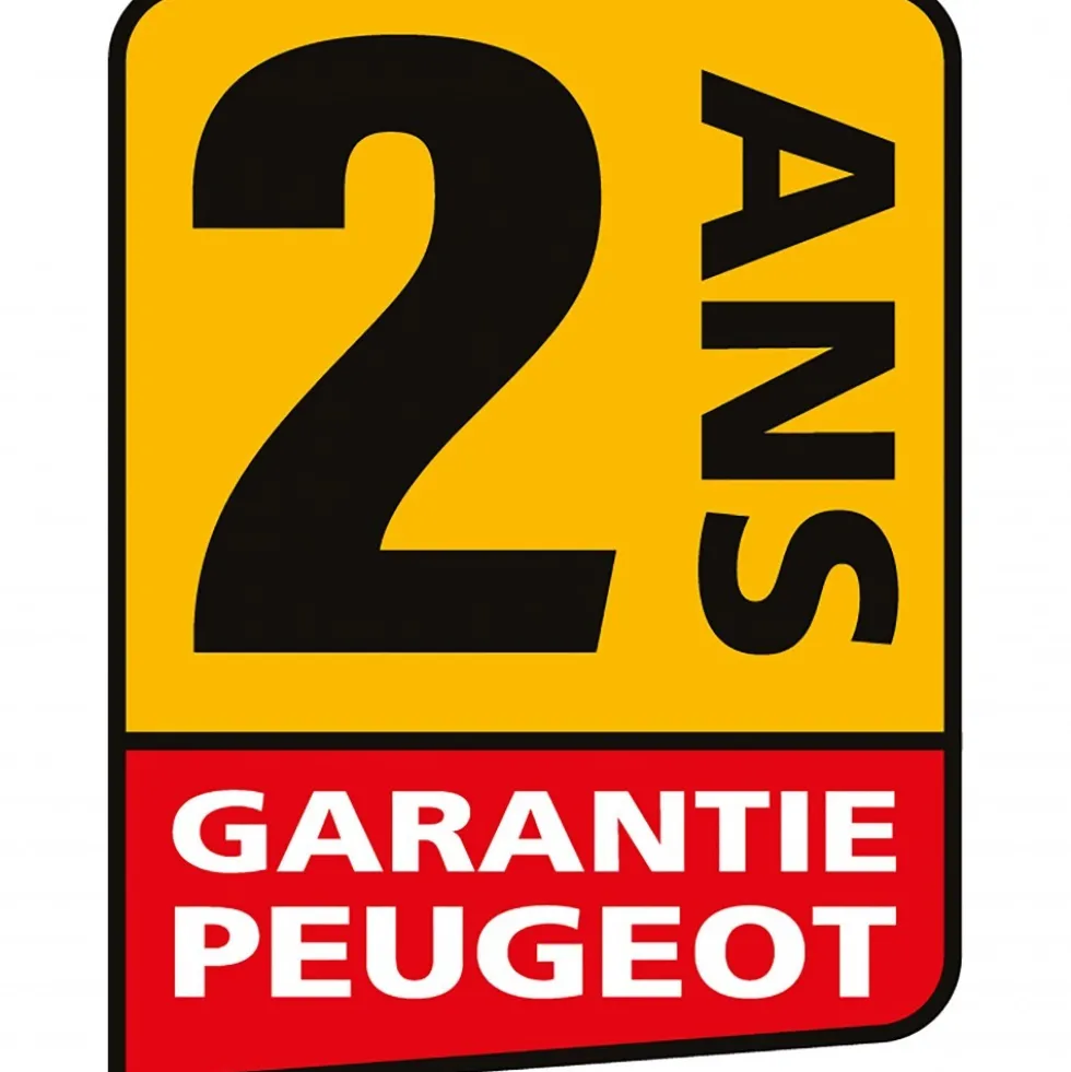 Aiguiseuse à eau et meule à morfiler - 90W - ENERGYGRIND-200 PEUGEOT