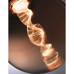 Ampoule LED globe doré - E27- 1800K - 4W - Inner Glow Helix PAULMANN