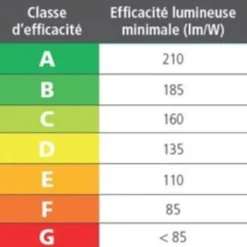 Ampoule Led tube E14 1700 K - puissance 2 watts - Vintage doré PAULMANN