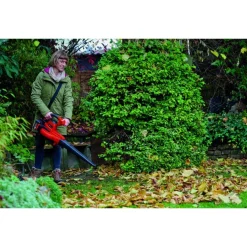 Aspirateur à feuilles - sans fil - 18V - GE CL 36/230 Li E - Solo EINHELL