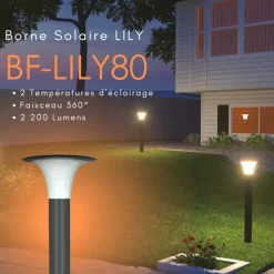 Borne solaire à détection avec 2 modes - IP65 - Anthracite - Lily BF LIGHT