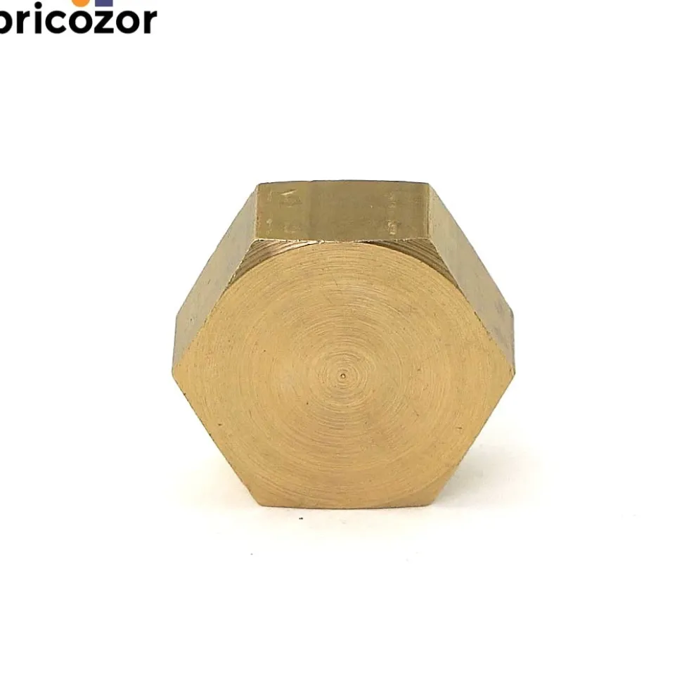Bouchon laiton femelle à visser BRICOZOR