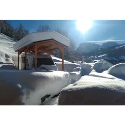 Carport deux pentes en bois Douglas - 6 poteaux - 350 x 650 cm CPBF