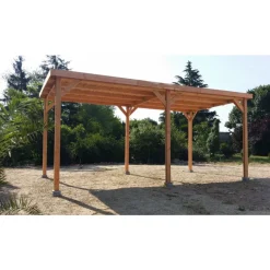 Carport toit plat en bois Douglas - 6 poteaux - 350 x 650 cm CPBF