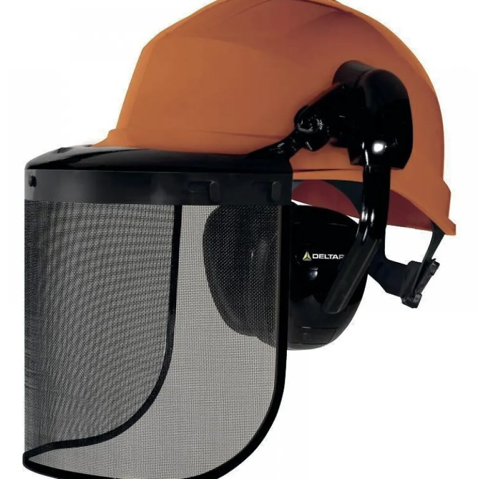 Casque forestier avec protections antibruit - Forestier 3 DELTA PLUS