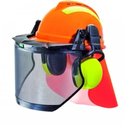 Casque forestier complet V-GUARD Premium 500 MSA FRANCITAL