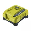 Chargeur rapide MaxPower™ 36V 6,0 A - RY36C60A RYOBI