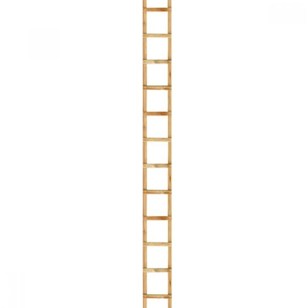 Échelle de couvreur - bois - 2m - entraxe 25 cm OUTIFRANCE