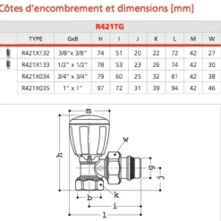 Corps de robinet thermostatisable équerre R421TG - filetage 15x21 GIACOMINI