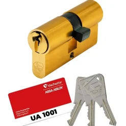 Cylindre double V5 7100 s'entrouvrant sur variure UA 1001 - laiton poli VACHETTE