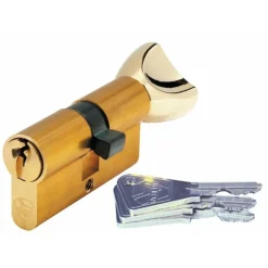 Cylindre V5 3110 à bouton s'entrouvrant sur variure UA 1001 - laiton poli VACHETTE