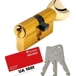 Cylindre V5 3110 à bouton s'entrouvrant sur variure UA 1001 - laiton poli VACHETTE
