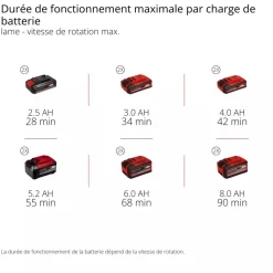 Débroussailleuse sans fil pro - GP-BC 36/430 Li BL-Solo - Power X-Change EINHELL PROFESSIONAL