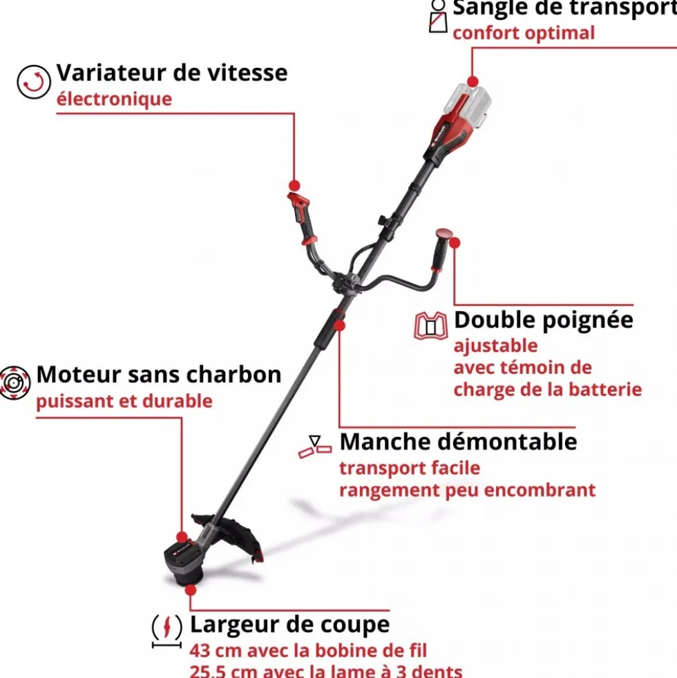 Débroussailleuse sans fil pro - GP-BC 36/430 Li BL-Solo - Power X-Change EINHELL PROFESSIONAL