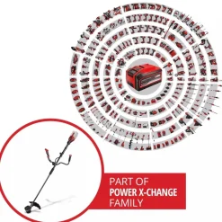 Débroussailleuse sans fil pro - GP-BC 36/430 Li BL-Solo - Power X-Change EINHELL PROFESSIONAL