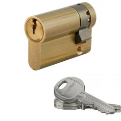 Demi cylindre HG6 en laiton poli 35 x 10 mm ouvrable La Poste + 3 clés FTH THIRARD