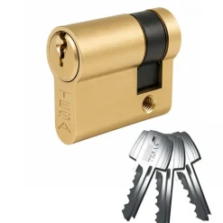 Demi cylindre - 30 x 10 mm - TE 5 - s'entrouvrant - laiton poli TESA Sécurité