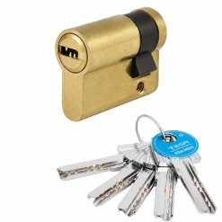 Demi cylindre - 30 x 10 mm - T 60 - varié - laiton poli TESA Sécurité