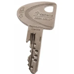 Demi cylindre - 30 x 10mm - VIP+ - varié - laiton nickelé VACHETTE