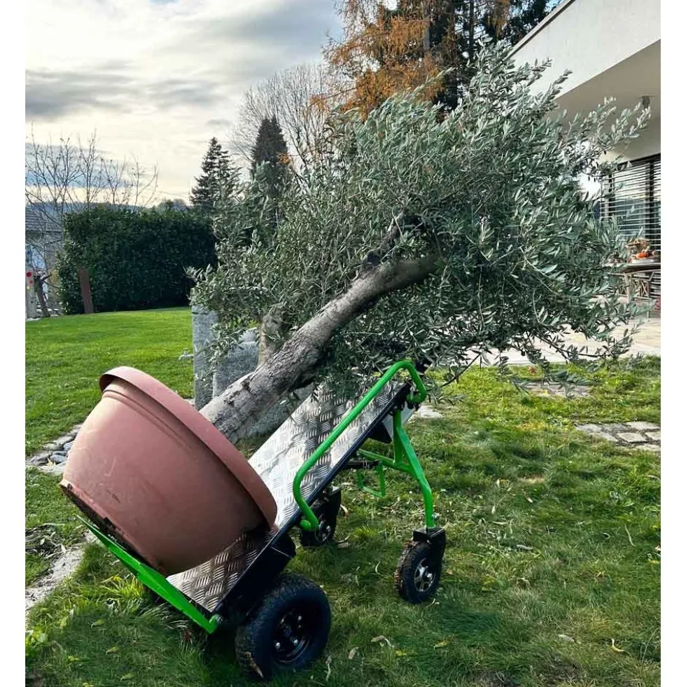 Diable électrique - 350W - 260kg - ZI-ET260 ZIPPER