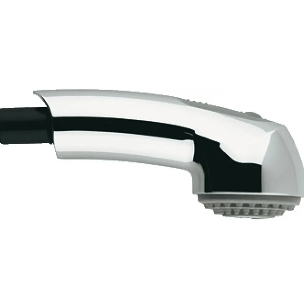 Douchette extractible pour mitigeur d'évier Eurodisc GROHE