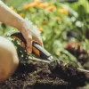 Déplantoir Xact 37,5cm FISKARS