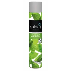 Désodorisant en aérosol - bactéricide - Boldair menthe Boldair
