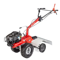 Emousseur nettoyeur pelouse pour P70 Evo EUROSYSTEMS