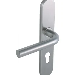 Ensemble Linox sur grandes plaques SGN2 - adapté A2P** VACHETTE ASSA ABLOY