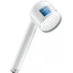 Filtre douche vissable non stérile BIOFIL pour 2 mois DELABIE