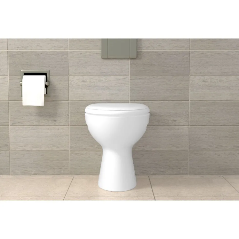 Fixations pour WC et bidet - cheville longue FISCHER