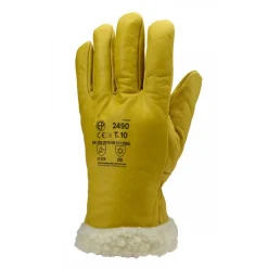 Gants Eurowinter Islande MO2486 - contre le froid Coverguard