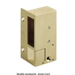 Gâche électrique - en applique - à rupture – bronze – 2 MÉTALUX