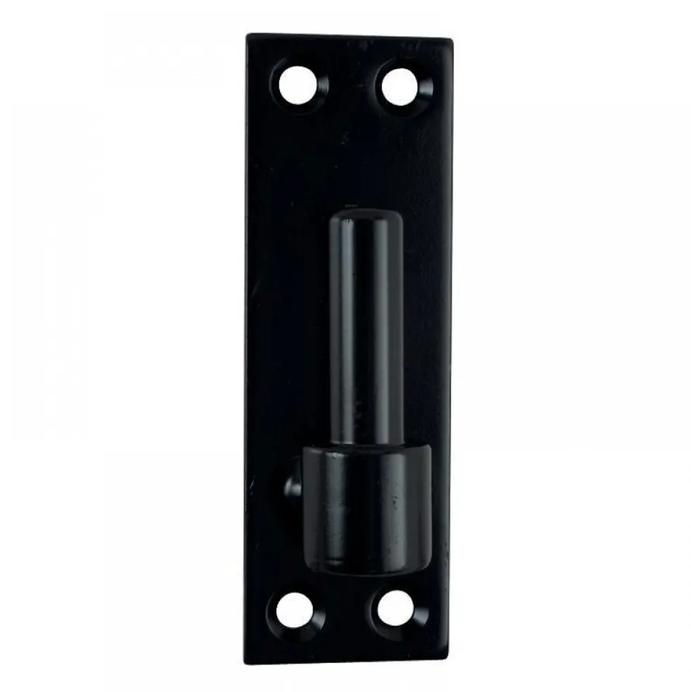 Gond sur platine droite en acier noir - 4 trous de fixation TORBEL