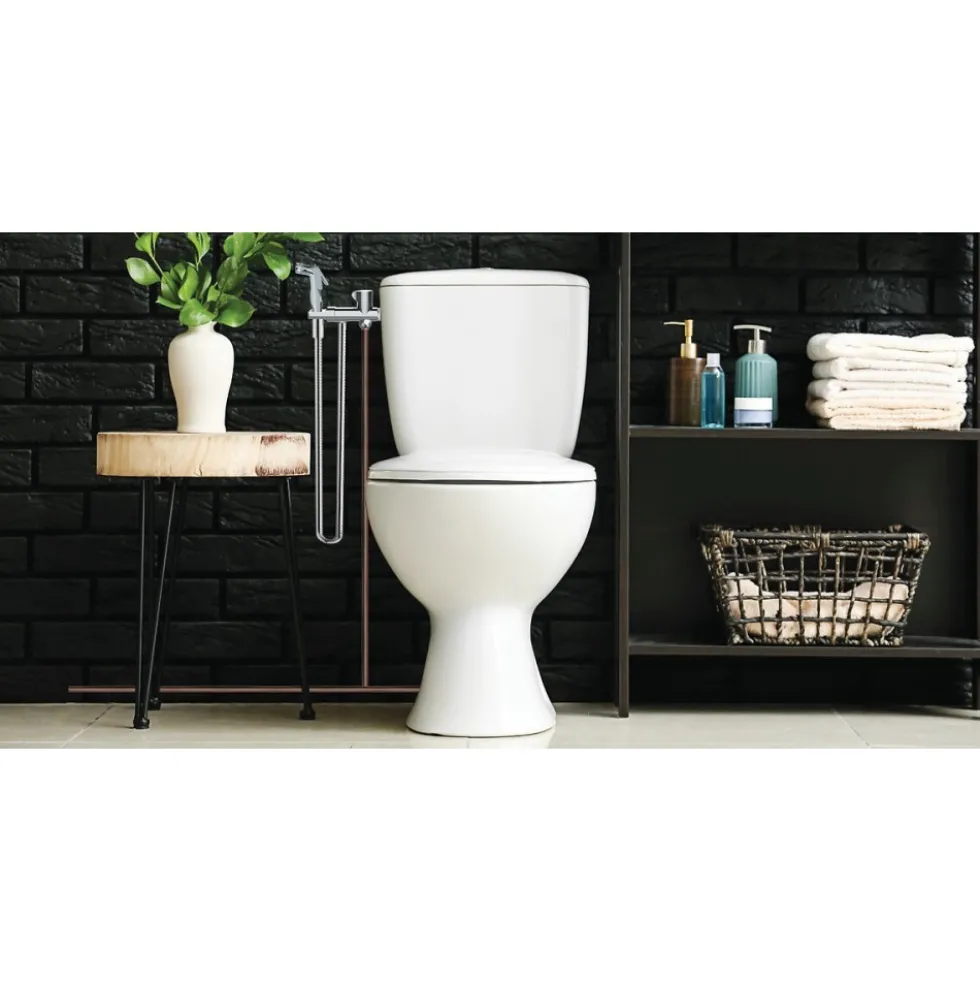 Kit complet hygiène WC avec douchette jet pluie à gachette VALENTIN