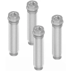 Kit de 4 vis d'ancrage pour paumelle DIAM à 2 lames - Ø12 mm LA CROISÉE DS