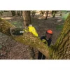 Élagueuse sur perche 36V MAX POWER - Solo - RY36PP25A-0 RYOBI