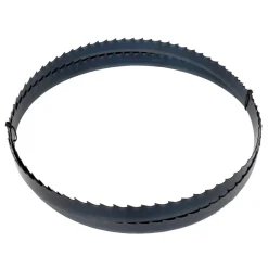 Lame pour scie à grumes BBS350 - BSB350B25 HOLZMANN