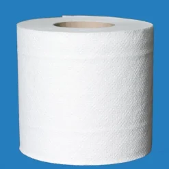 Lot de 96 rouleaux de papier toilette Ecolabel PAPECO