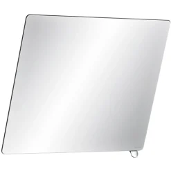 Miroir de toilette - 500 x 600 mm - inclinable avec poignée DELABIE