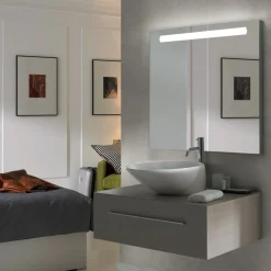 Miroir salle de bain avec éclairage frontal - 700x600 mm - Pegasus EMUCA