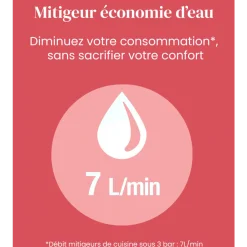 Mitigeur de cuisine avec douchette extractible - chromé - Edgar JACOB DELAFON