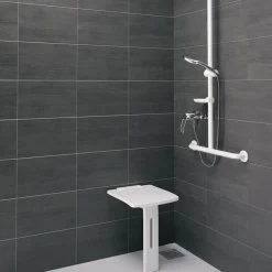 Mitigeur de douche à équilibrage de pression - mural - SECURITHERM EP DELABIE