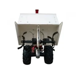 Motoculteur à fraises arrières - P70 Evo - B&S 850 Exi Series EUROSYSTEMS